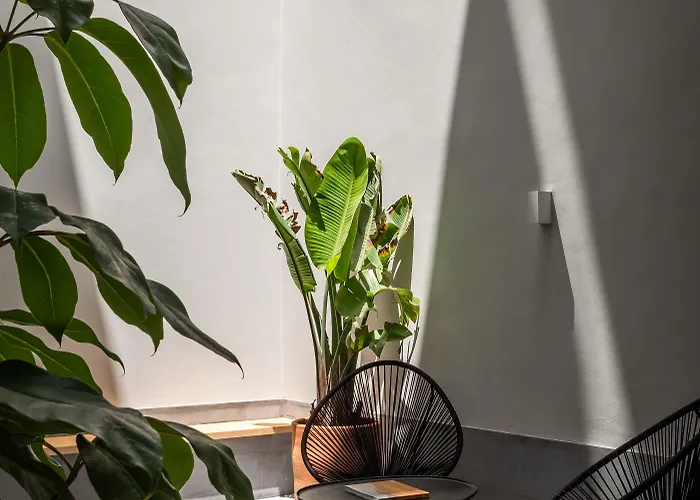 Bypillow La Sal 酒店 加的斯